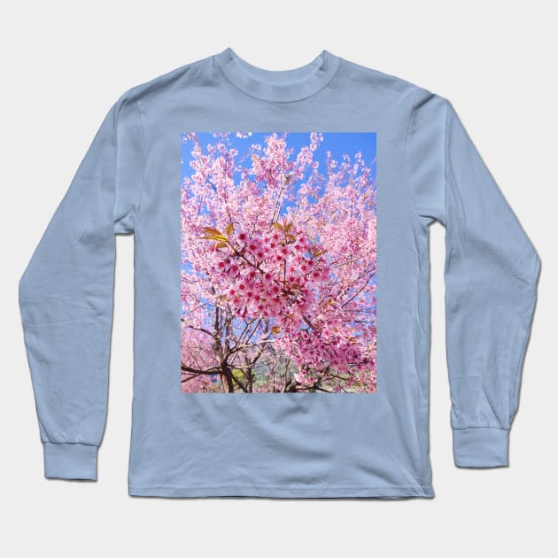 Beautiful pink flowers Long Sleeve T-Shirt by PPphatsorn